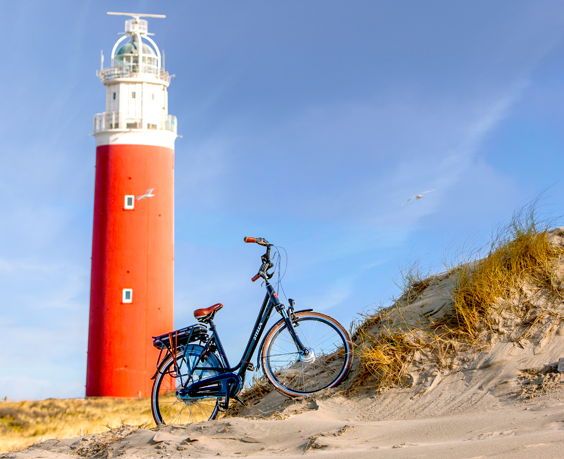 texel7
